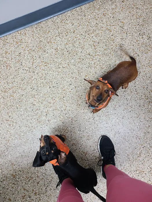 Burnet Road Animal Hospital Picture 7