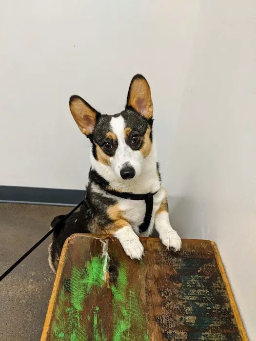 Vetco Total Care Animal Hospital Picture 5