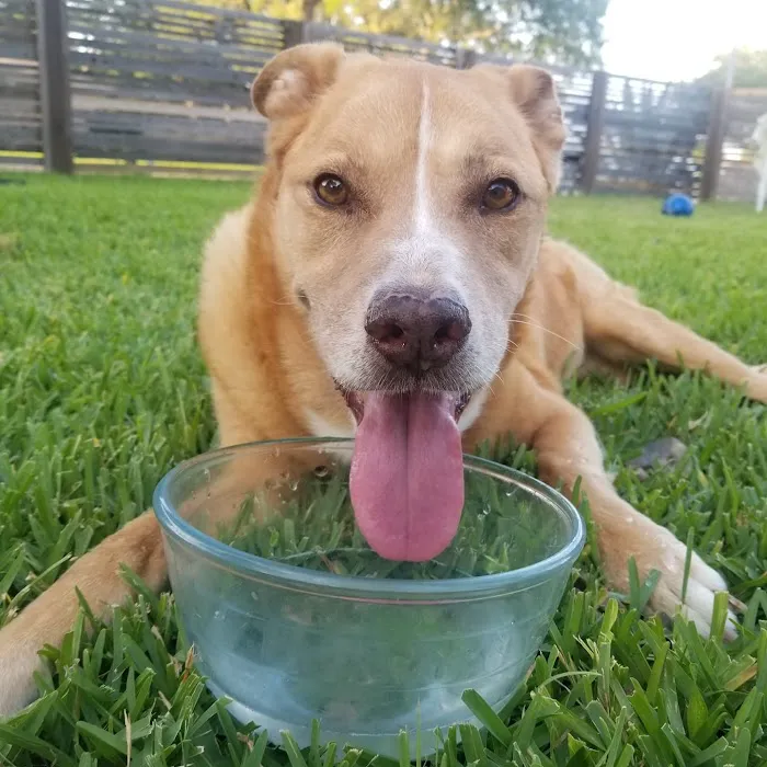 Vetco Total Care Animal Hospital Picture 8