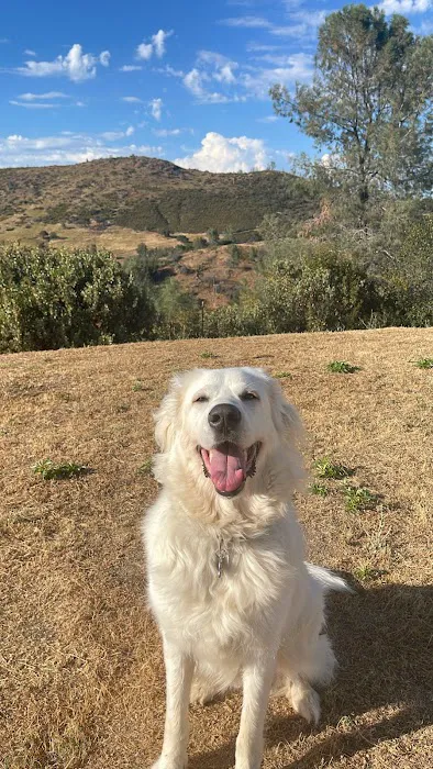 Oliver Animal Hospital Picture 9