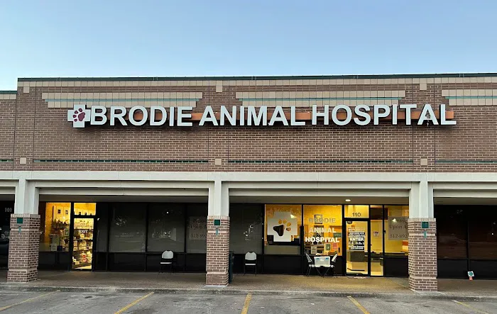 Brodie Animal Hospital Picture 2