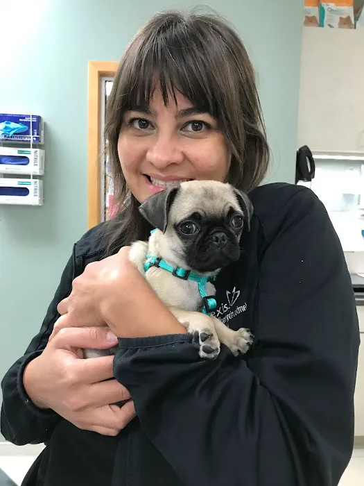 Brodie Animal Hospital Picture 7