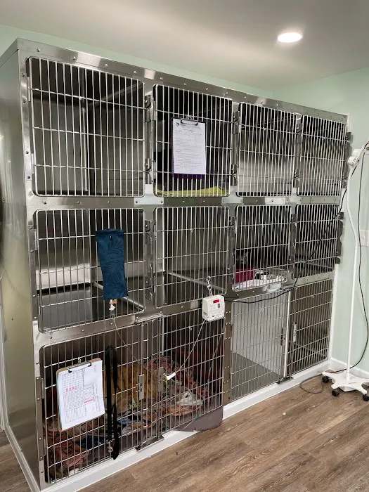 Companion Animal Hospital Picture 2
