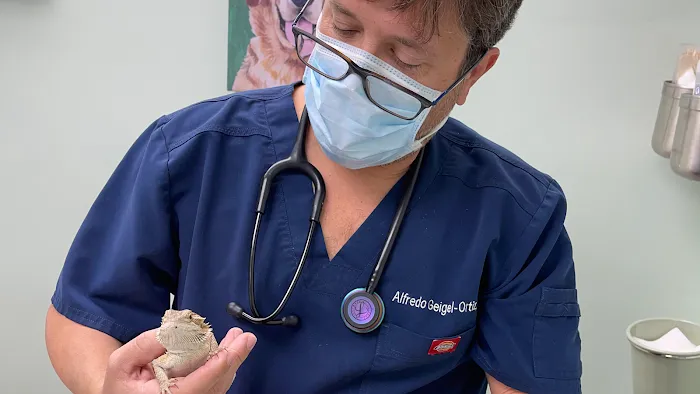 Companion Animal Hospital Picture 3