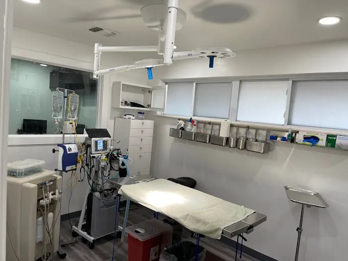 Companion Animal Hospital Picture 4