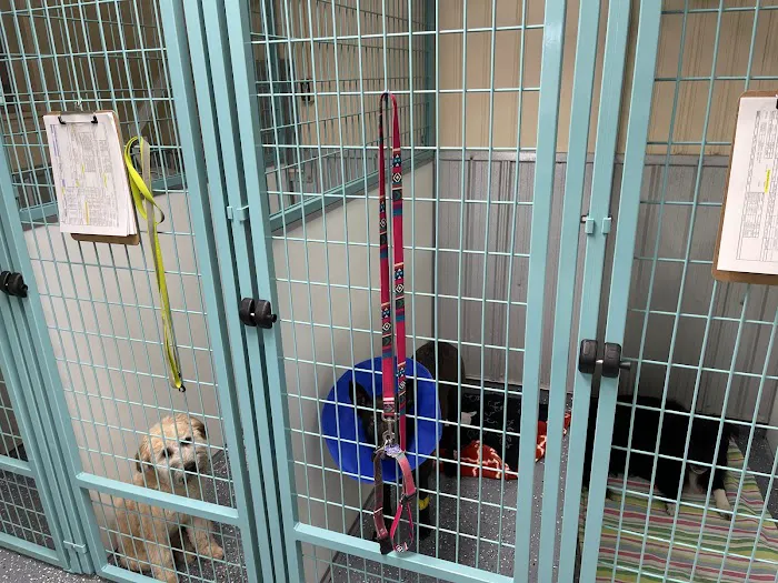 Companion Animal Hospital Picture 6