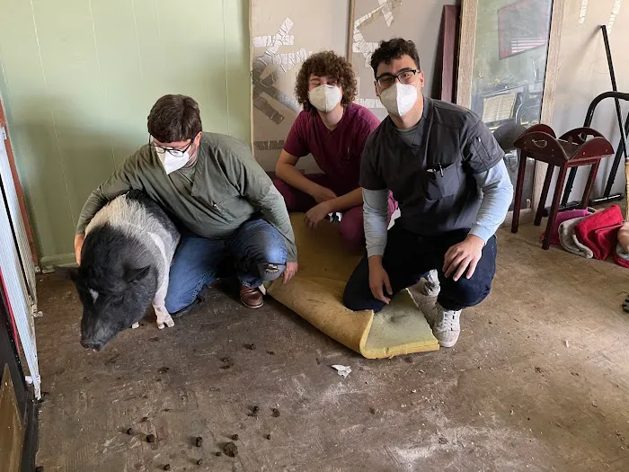 Companion Animal Hospital Picture 9