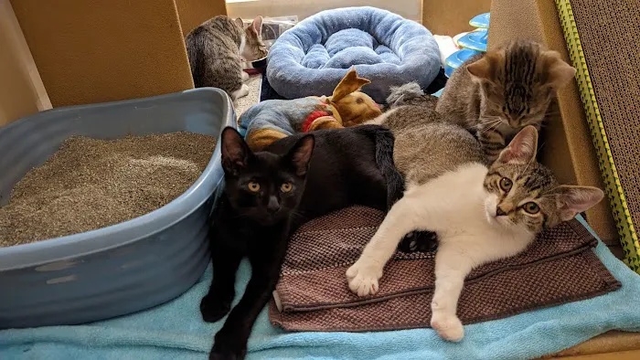 Banfield Pet Hospital Picture 1