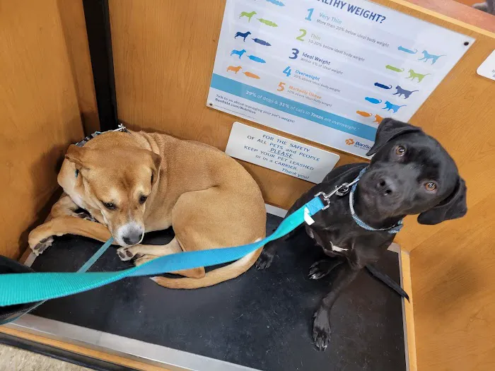 Banfield Pet Hospital Picture 7