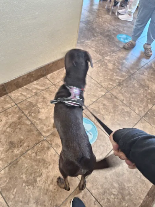 Banfield Pet Hospital Picture 8