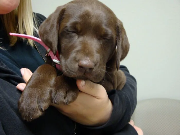 Bee Cave Veterinary Clinic Picture 2