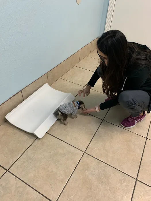 Bee Cave Veterinary Clinic Picture 1