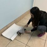 Bee Cave Veterinary Clinic