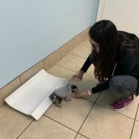Bee Cave Veterinary Clinic ico