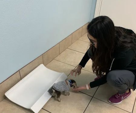 Bee Cave Veterinary Clinic