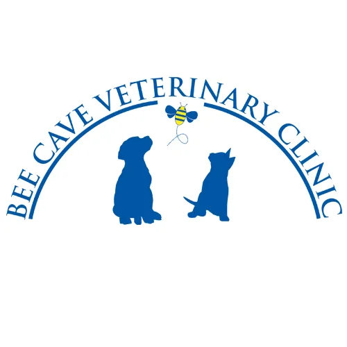 Bee Cave Veterinary Clinic Picture 4