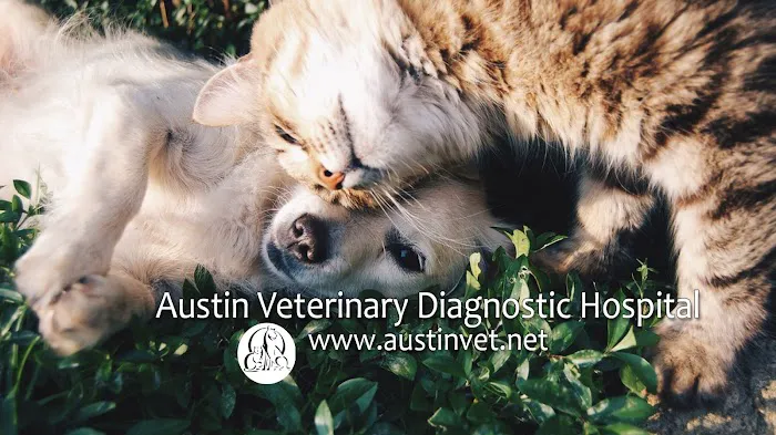 Austin Veterinary Diagnostic Hospital Picture 3