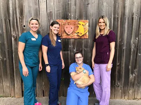 Varga Jeremy DVM - Austin Veterinary Diagnostic Hospital Picture 1