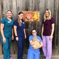 Varga Jeremy DVM - Austin Veterinary Diagnostic Hospital ico