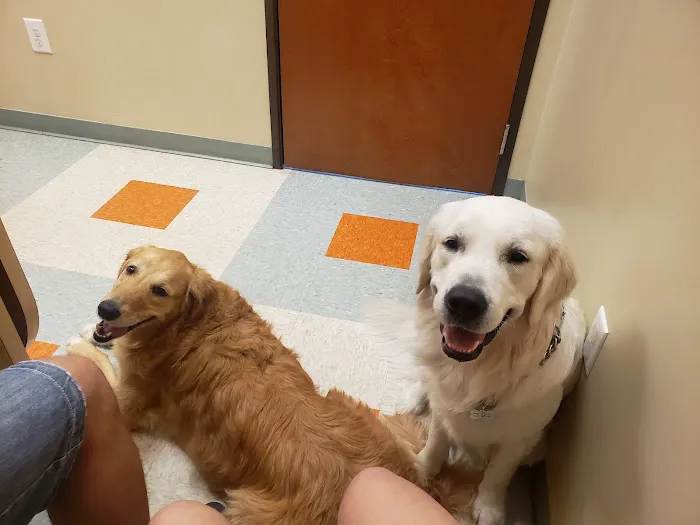 Circle C Animal Hospital Picture 1