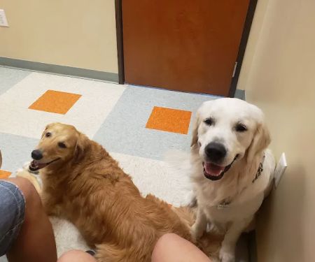 Circle C Animal Hospital