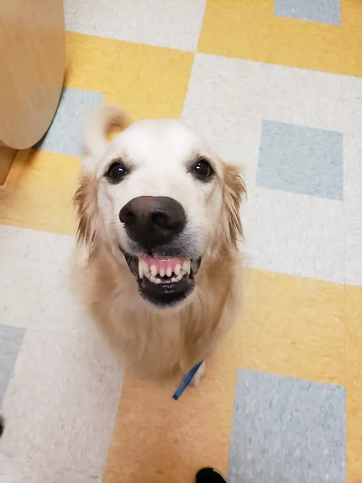 Circle C Animal Hospital Picture 8