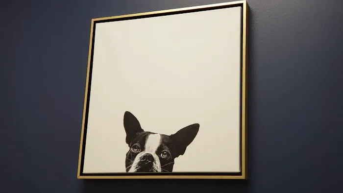 Bluebonnet Animal Hospital - Circle C Picture 10
