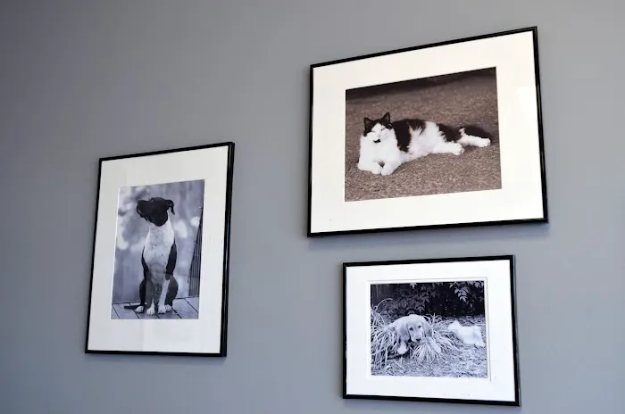 Village Vet Hospital Picture 8