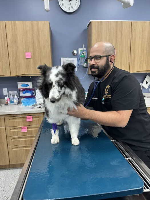 Violet Crown Veterinary Specialists Picture 9
