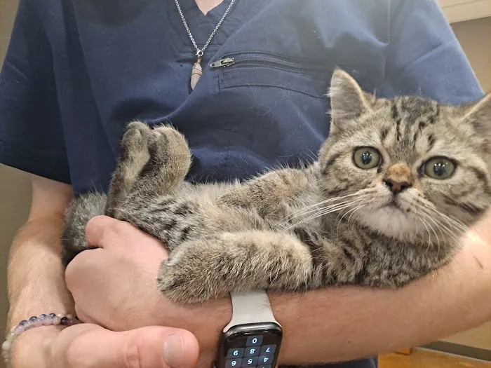 Five Star Veterinary Center Picture 6