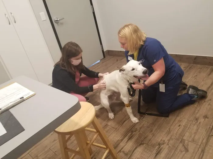 VCA Terrell Animal Hospital Picture 2