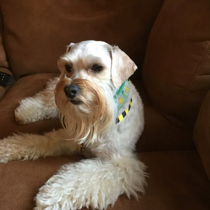VCA Terrell Animal Hospital Picture 8