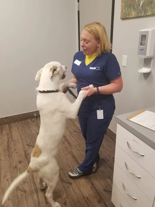 VCA Terrell Animal Hospital Picture 9