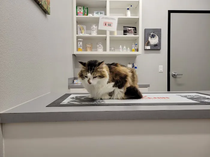 VCA Terrell Animal Hospital Picture 10