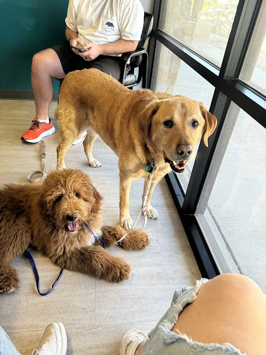 2222 Veterinary Clinic Picture 1