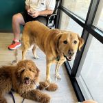 2222 Veterinary Clinic