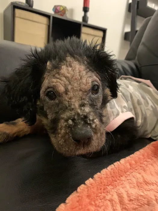Vetco Total Care Animal Hospital Picture 6