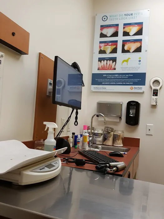 Banfield Pet Hospital Picture 4