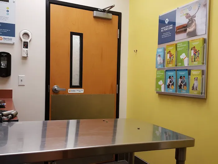 Banfield Pet Hospital Picture 7