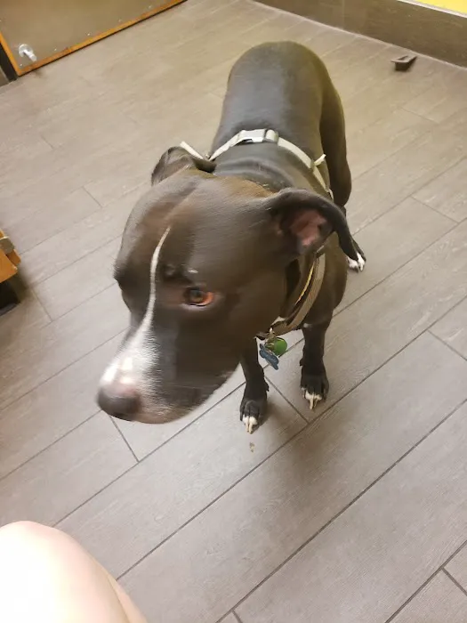 Banfield Pet Hospital Picture 9