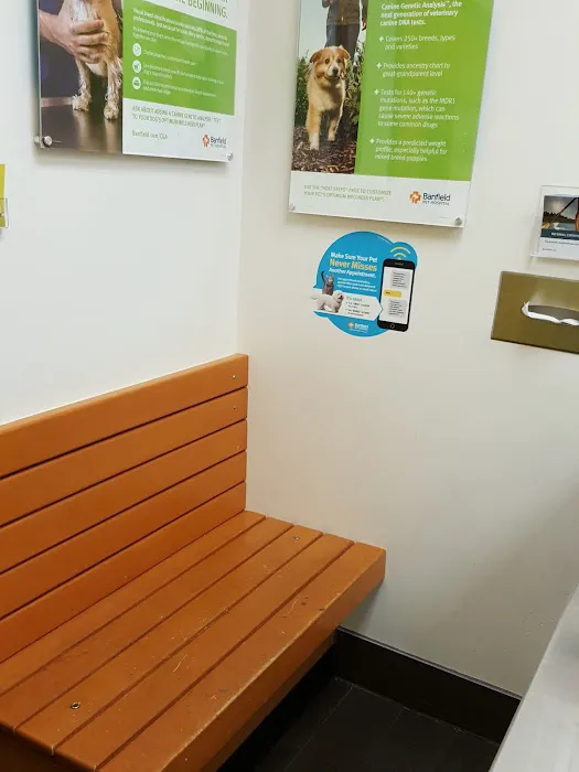 Banfield Pet Hospital Picture 10
