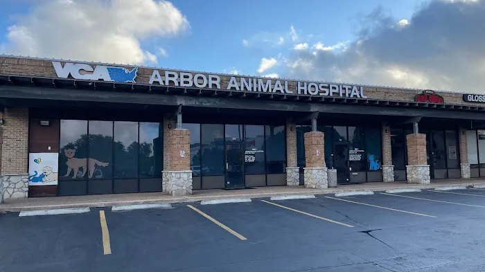 VCA Arbor Animal Hospital Picture 2