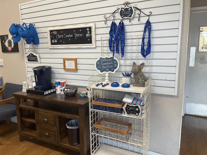 VCA Arbor Animal Hospital Picture 8