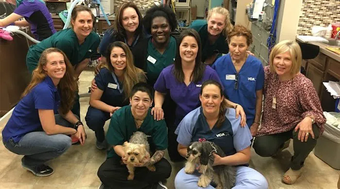 VCA Tanglewood Animal Hospital Picture 2