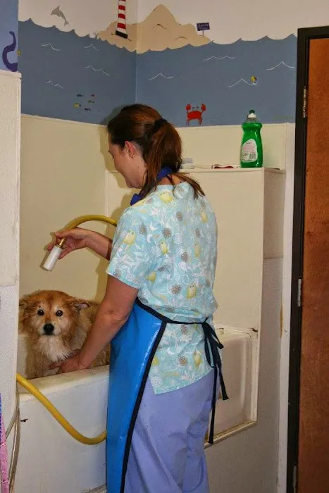 VCA Tanglewood Animal Hospital Picture 8
