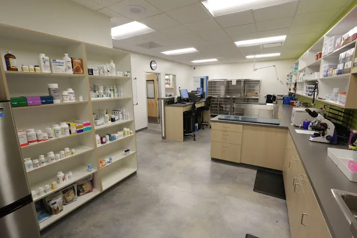 Thrive Pet Healthcare - Manchaca Picture 3