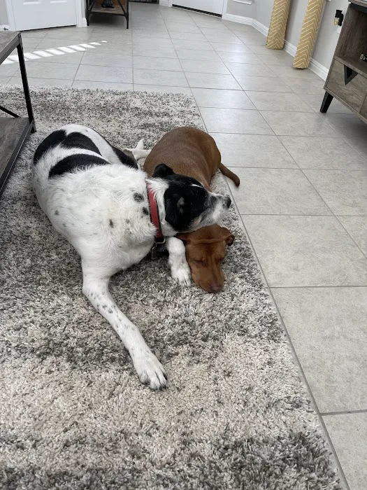 Thrive Pet Healthcare - Manchaca Picture 6
