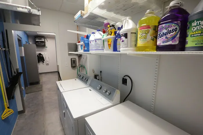 Thrive Pet Healthcare - Manchaca Picture 8
