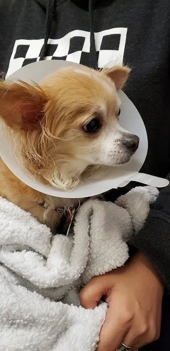 Thrive Pet Healthcare - Manchaca Picture 7