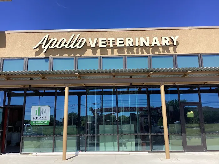 Apollo Veterinary South Austin Picture 3